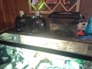 IMG20241102173930.jpg