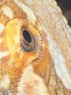 IMG_9659.jpeg