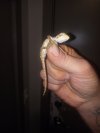 IMG_20241116_040742290.jpg