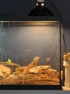 IMG_1078.jpeg