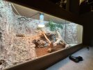 IMG_1051.jpeg