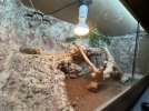 IMG_1052.jpeg