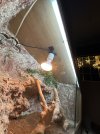 IMG_1053.jpeg