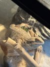 IMG_2807.jpeg