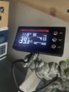 IMG_9435.jpeg