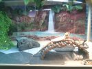 IMG_20250127_173441.jpg