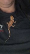 IMG_8213.jpeg