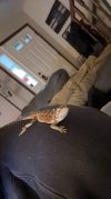 IMG_8158.jpeg
