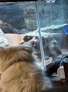 IMG_8345.jpeg