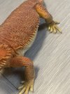 IMG_4922.jpeg
