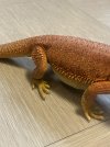 IMG_4919.jpeg