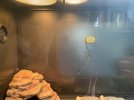 IMG_2002.jpeg