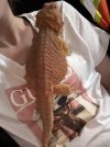 IMG_2807.jpeg