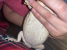 IMG_0003.jpeg