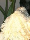 IMG_4824.jpeg