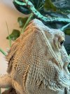 IMG_4826.jpeg