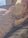 IMG_1806.jpeg
