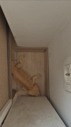 20250505_105812_1.gif