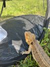 IMG_4675.JPEG