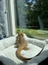 IMG_5106.JPEG