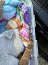 IMG_8143.jpeg