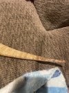 IMG_6394.jpeg
