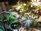 IMG_20250627_150632791.jpg