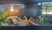 IMG_3889.jpeg