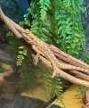 IMG_3532.jpeg
