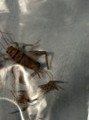 IMG_0156.jpeg