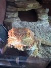 IMG_0117.jpeg