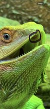 IMG_0168.jpeg