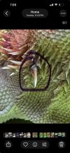 IMG_0169.jpeg