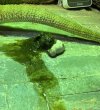 IMG_0259.jpeg