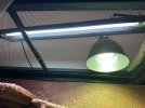 IMG_0266.jpeg