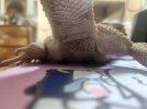 20260608_143446.jpg