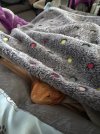 IMG_2592.jpeg