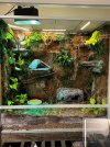IMG_1215.jpeg
