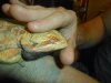 DSCN0409.jpg