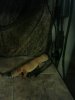 uploadfromtaptalk1370181254814.jpg