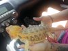 20130811_132515.jpg 20130811_132515.jpg