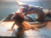 20130811_171142.jpg 20130811_171142.jpg