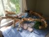 20130815_154627.jpg 20130815_154627.jpg