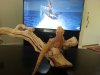 20130809_091333.jpg 20130809_091333.jpg