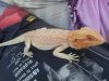 20130812_132726.jpg