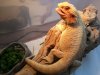 20130813_082706.jpg