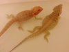 20130829_091521.jpg 20130829_091521.jpg