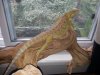 20130830_143710.jpg 20130830_143710.jpg