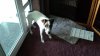 DSC07112.JPG
