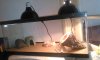 WP_20140215_002.jpg